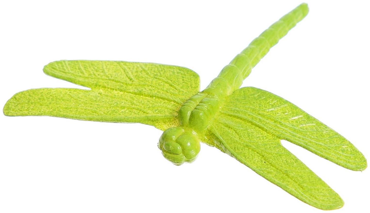 Развивающий набор с карточками «Мир насекомых», по методике Домана