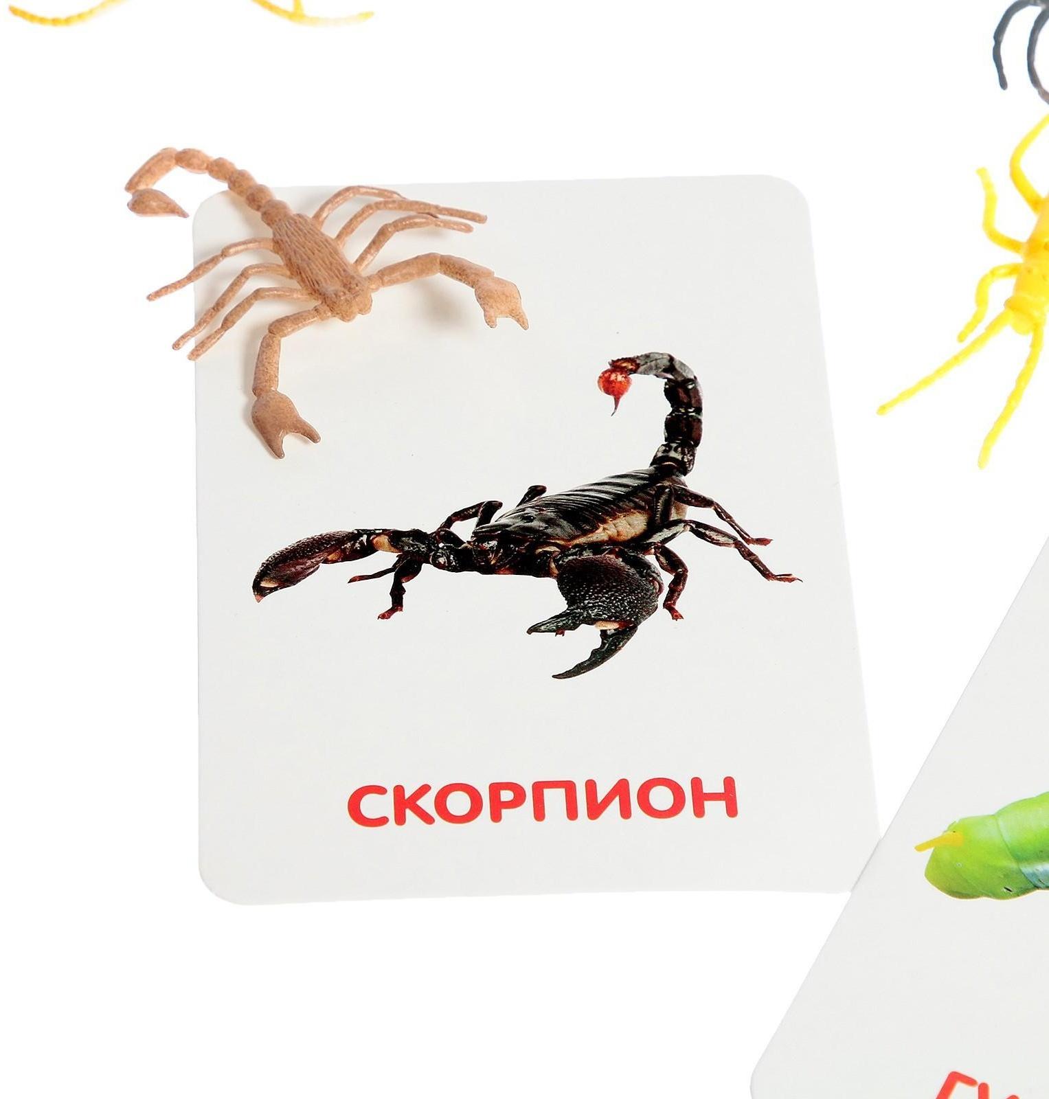 Развивающий набор с карточками «Мир насекомых», по методике Домана