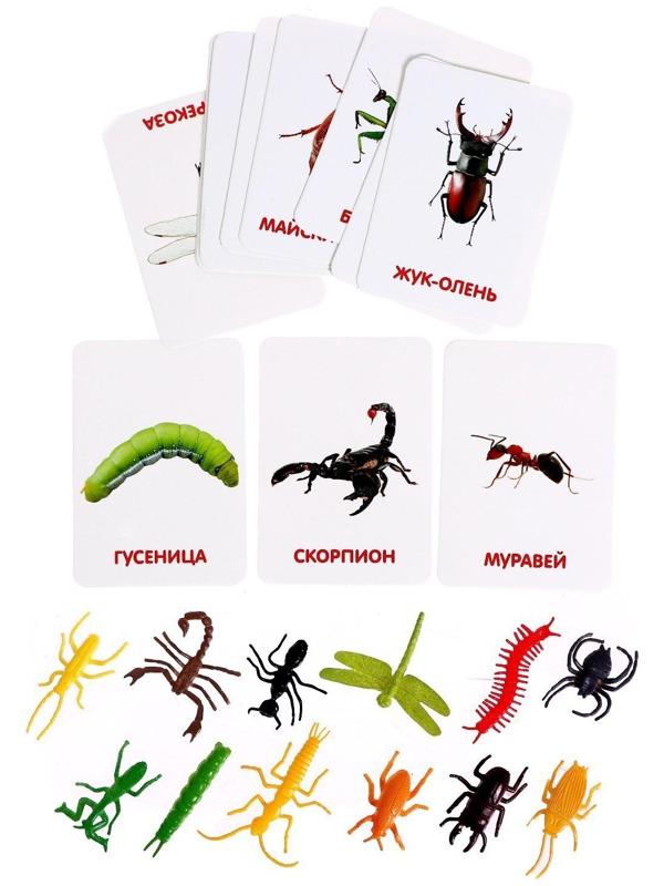 Развивающий набор с карточками «Мир насекомых», по методике Домана