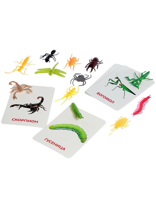 Развивающий набор с карточками «Мир насекомых», по методике Домана