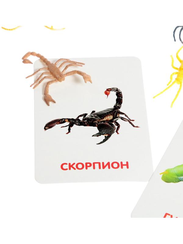 Развивающий набор с карточками «Мир насекомых», по методике Домана