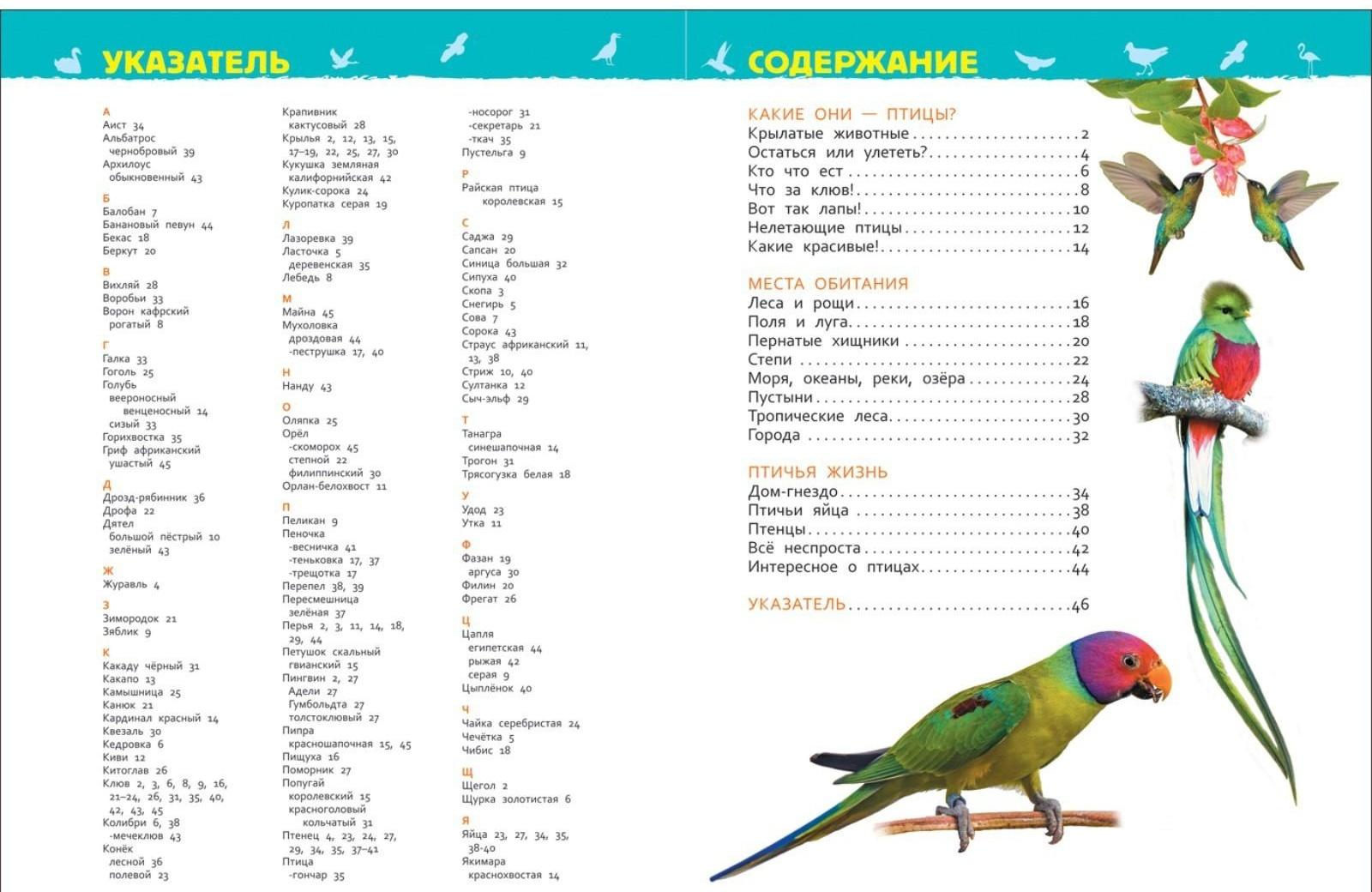 Энциклопедия для детского сада «Птицы», Гальцева С. Н.