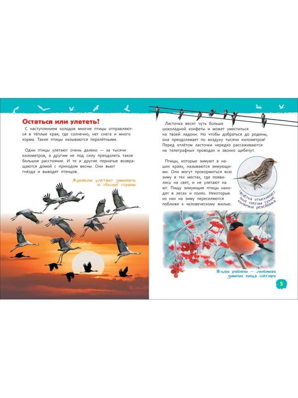 Энциклопедия для детского сада «Птицы», Гальцева С. Н.