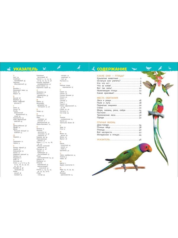 Энциклопедия для детского сада «Птицы», Гальцева С. Н.