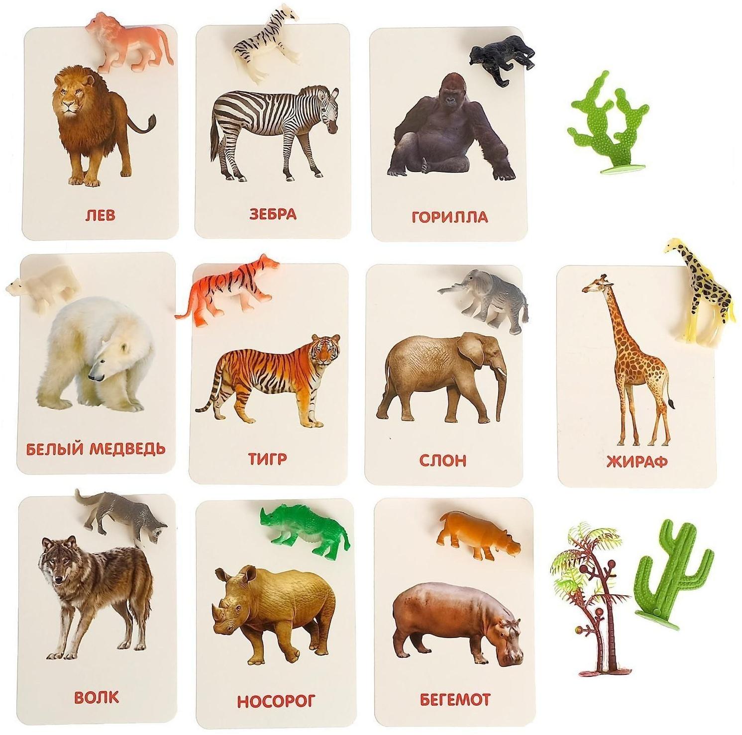 Развивающий набор фигурок для детей «Дикие животные» с карточками, по методике Домана