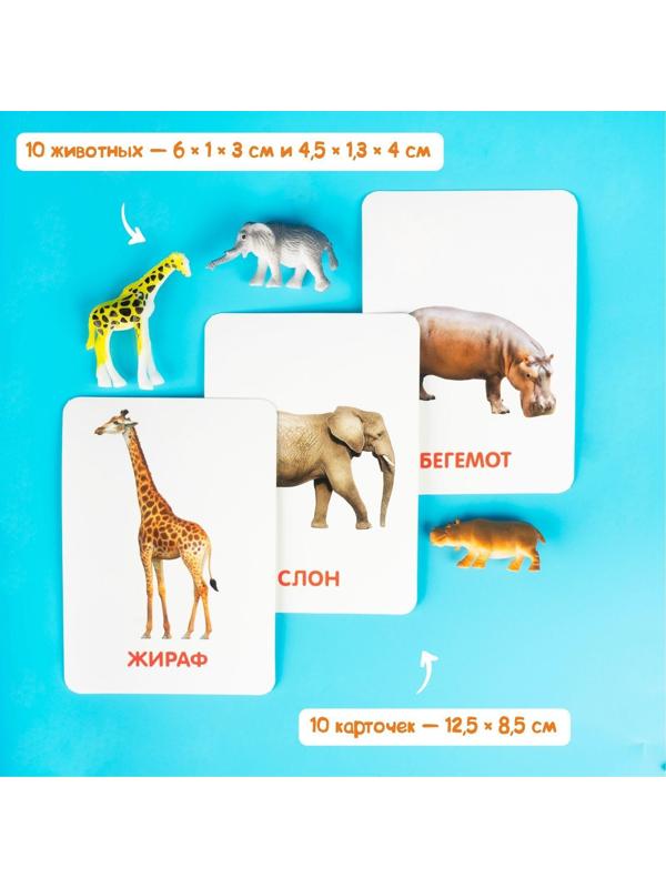 Развивающий набор фигурок для детей «Дикие животные» с карточками, по методике Домана