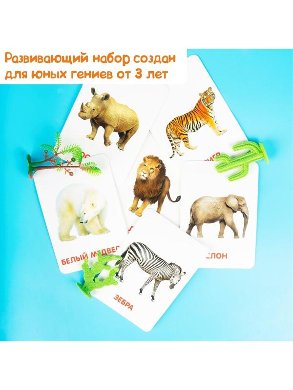 Развивающий набор фигурок для детей «Дикие животные» с карточками, по методике Домана
