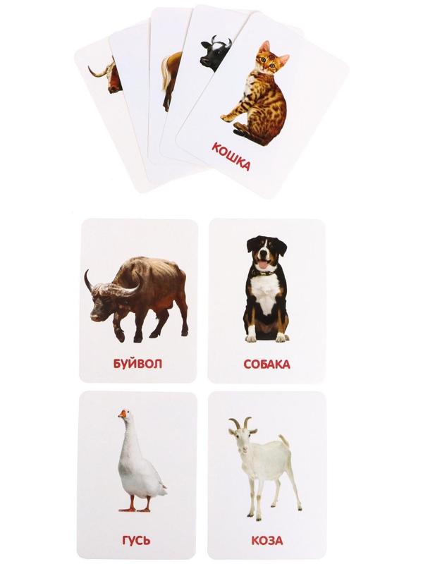 Развивающий набор фигурок для детей «Домашние животные» с карточками, по методике Домана