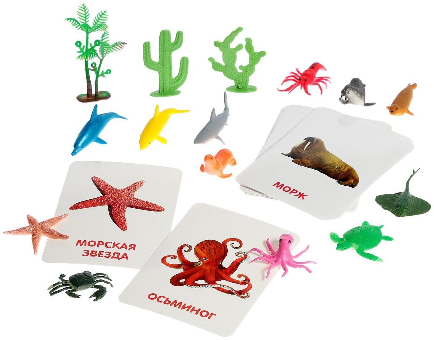 Развивающий набор с карточками «Водные животные», по методике Домана