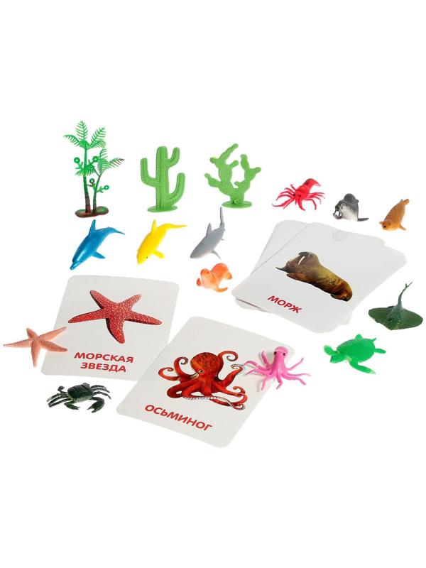 Развивающий набор с карточками «Водные животные», по методике Домана