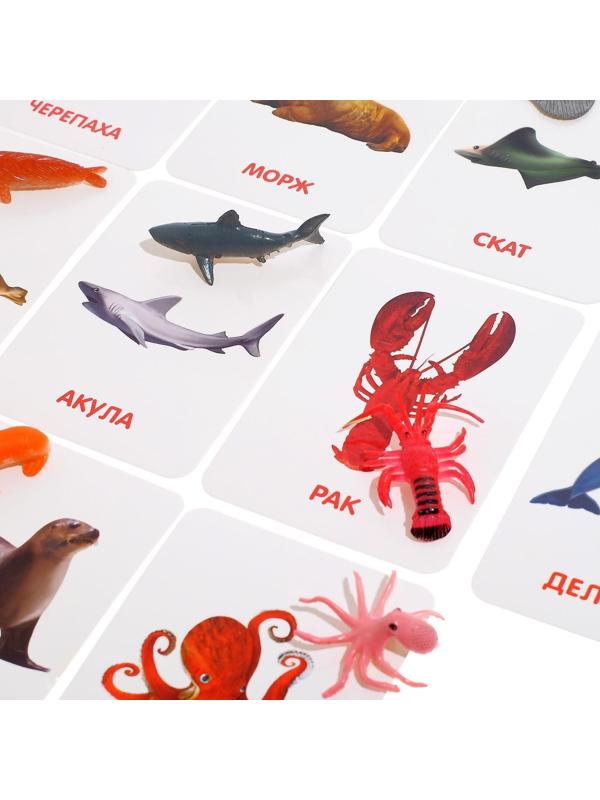 Развивающий набор с карточками «Водные животные», по методике Домана