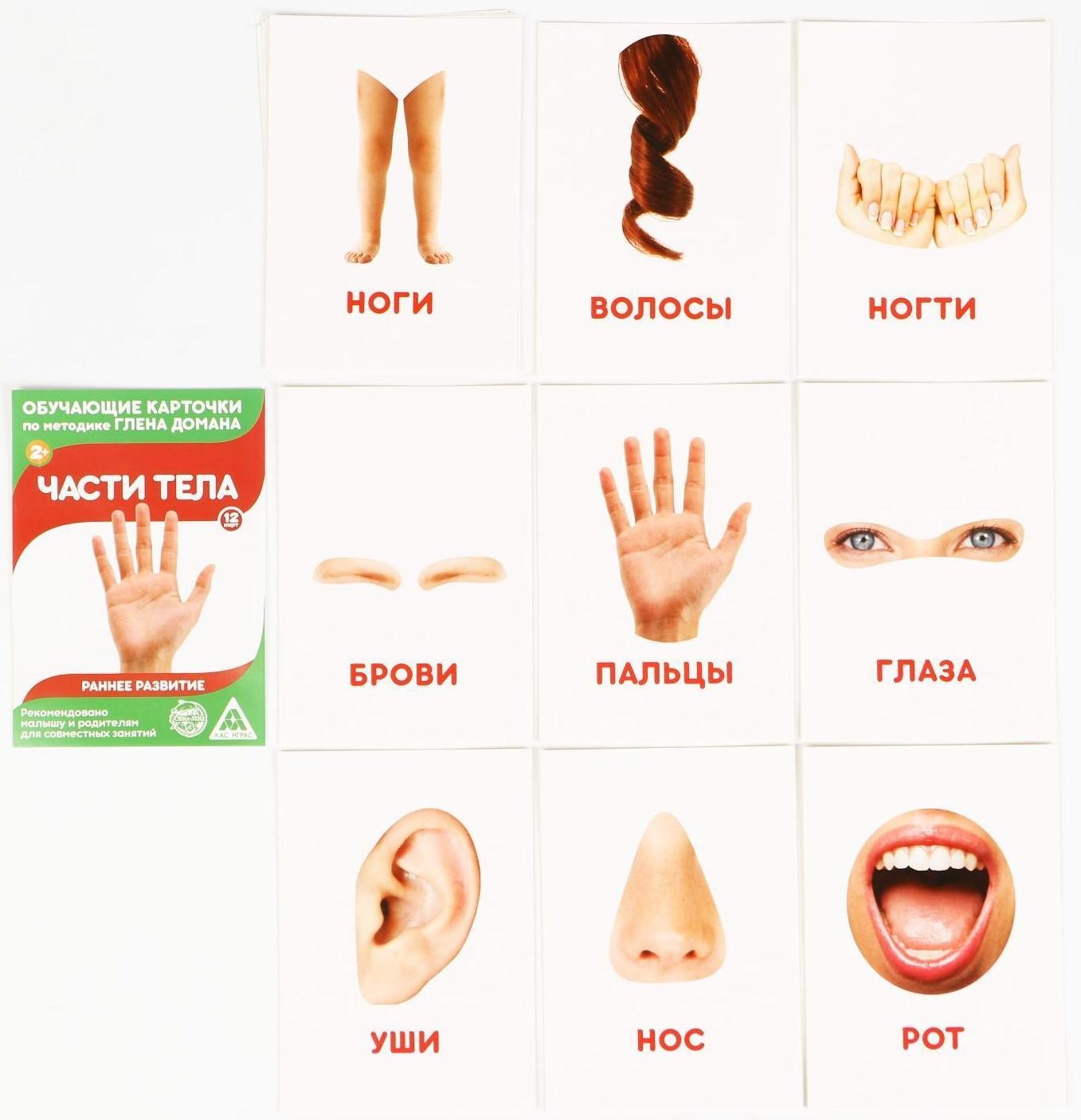 Обучающие карточки по методике Г. Домана «Расширяем кругозор», 10 штук, А6, 2+
