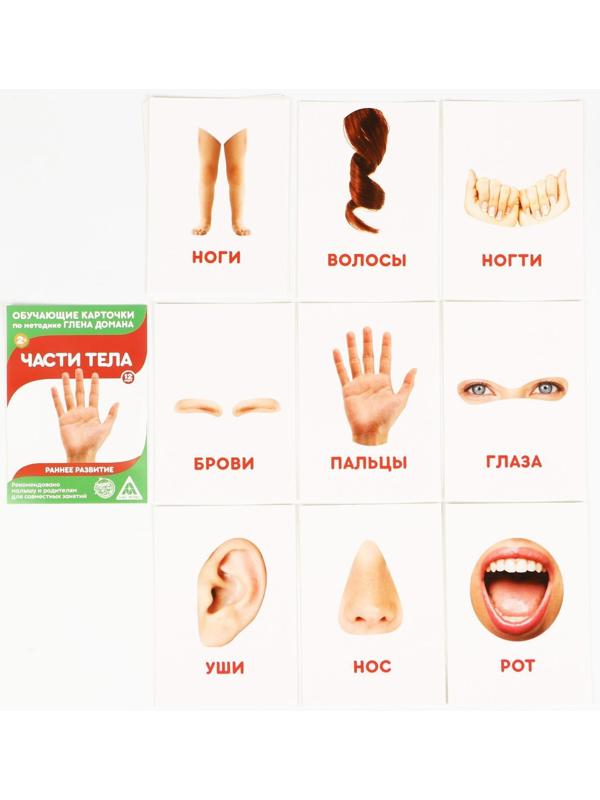 Обучающие карточки по методике Г. Домана «Расширяем кругозор», 10 штук, А6, 2+