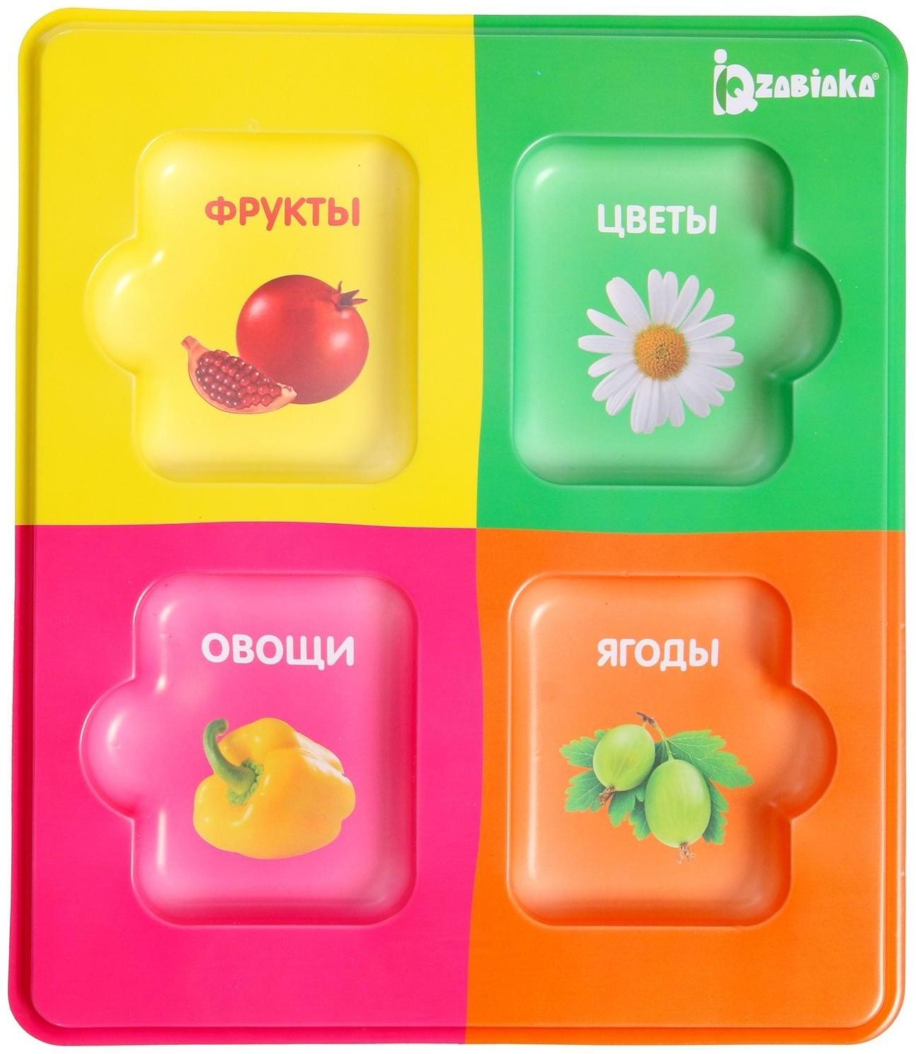 Сортер «Растительный мир» с карточками Домана