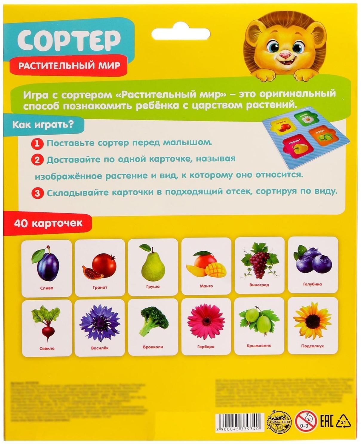 Сортер «Растительный мир» с карточками Домана