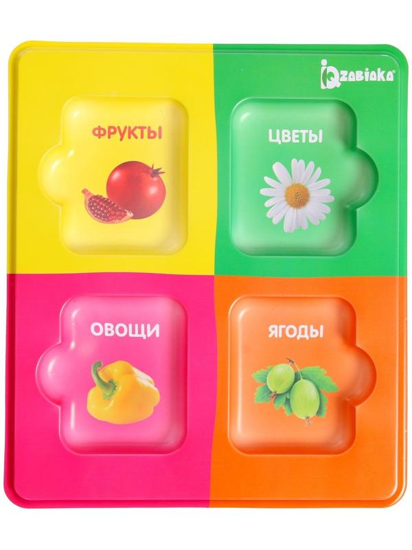 Сортер «Растительный мир» с карточками Домана