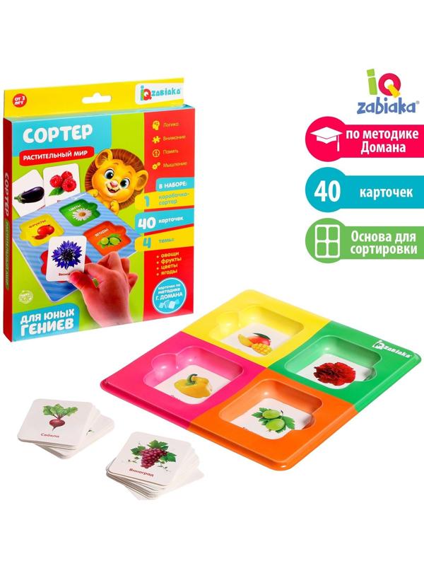 Сортер «Растительный мир» с карточками Домана