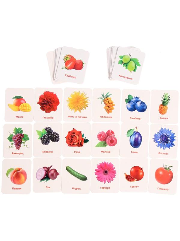 Сортер «Растительный мир» с карточками Домана