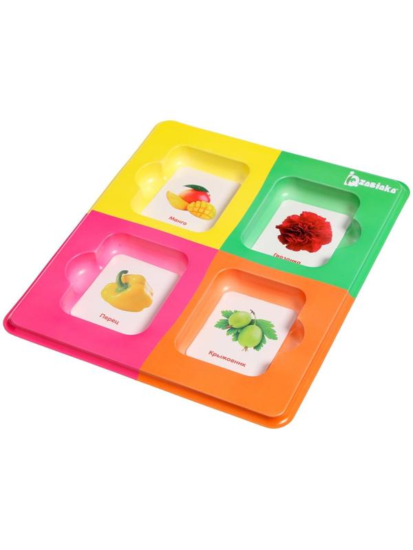 Сортер «Растительный мир» с карточками Домана