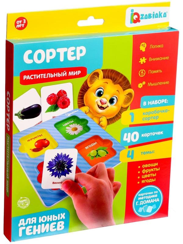 Сортер «Растительный мир» с карточками Домана