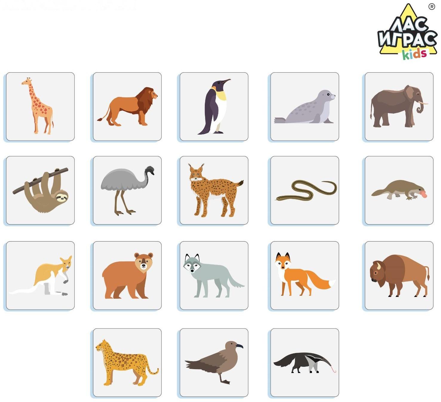 Настольная игра «Весёлая география»