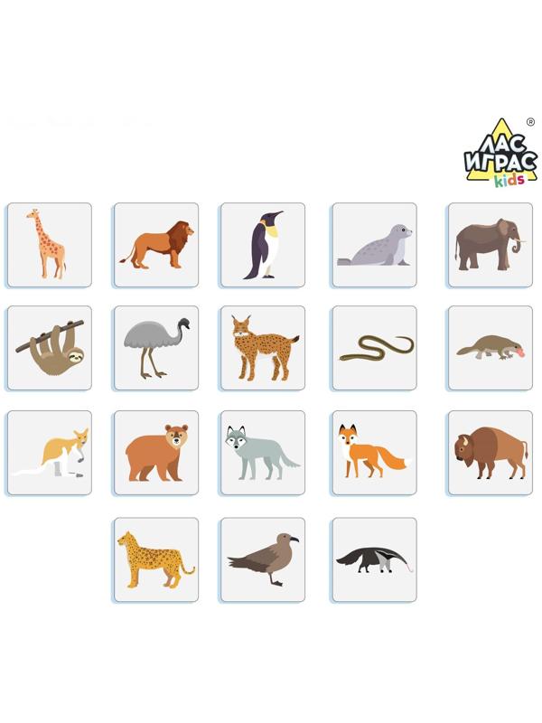 Настольная игра «Весёлая география»