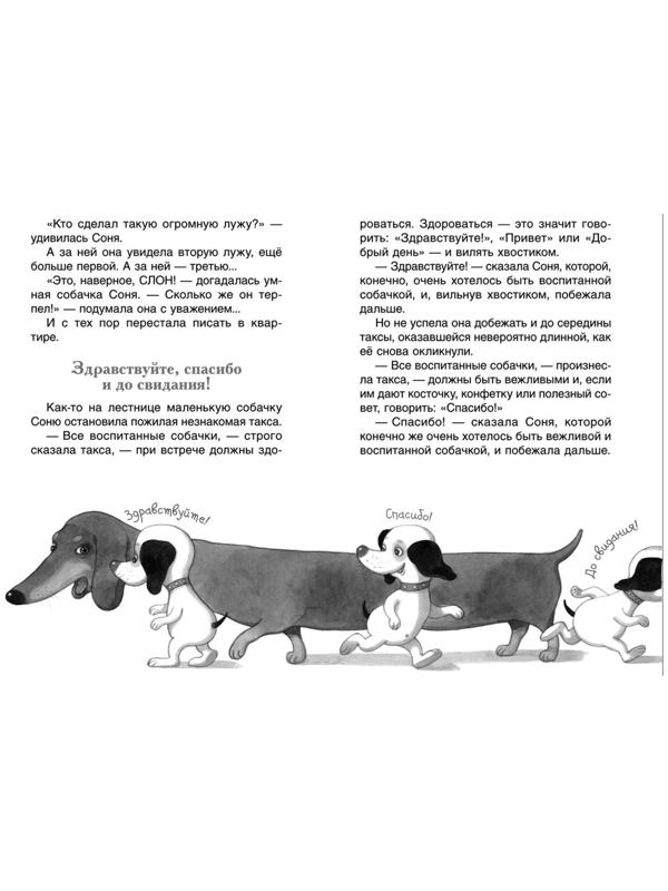 Внеклассное чтение «Умная и знаменитая собачка Соня», Усачев А.
