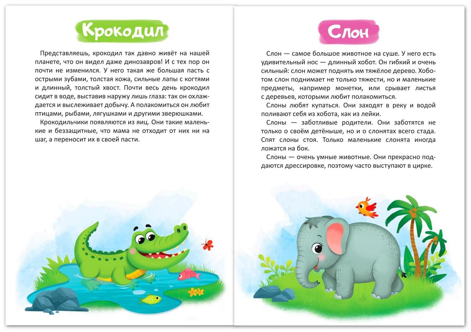 Книга «Дикие животные» 12 стр.