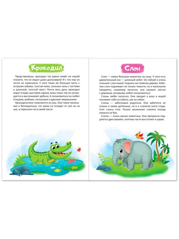 Книга «Дикие животные» 12 стр.