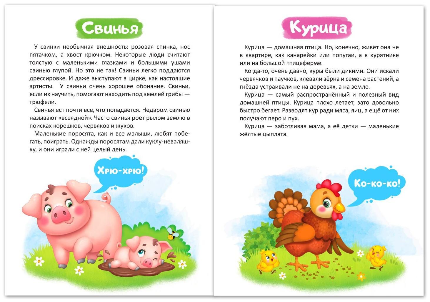 Книга «Домашние животные» 12 стр.