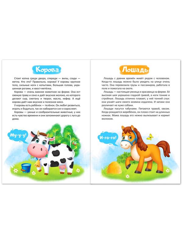 Книга «Домашние животные» 12 стр.