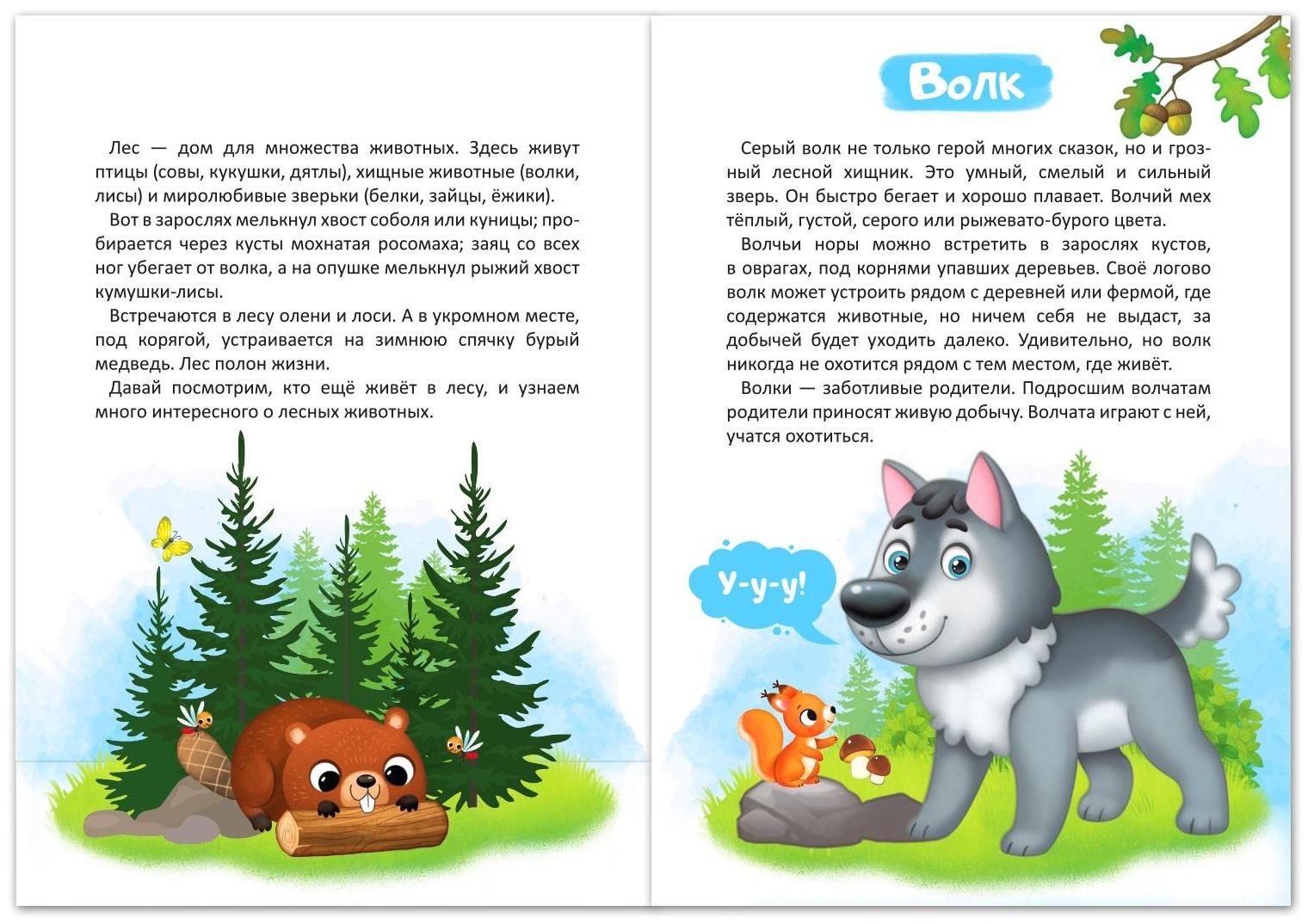 Набор книг обучающий про животных, 3 шт. по 12 стр.