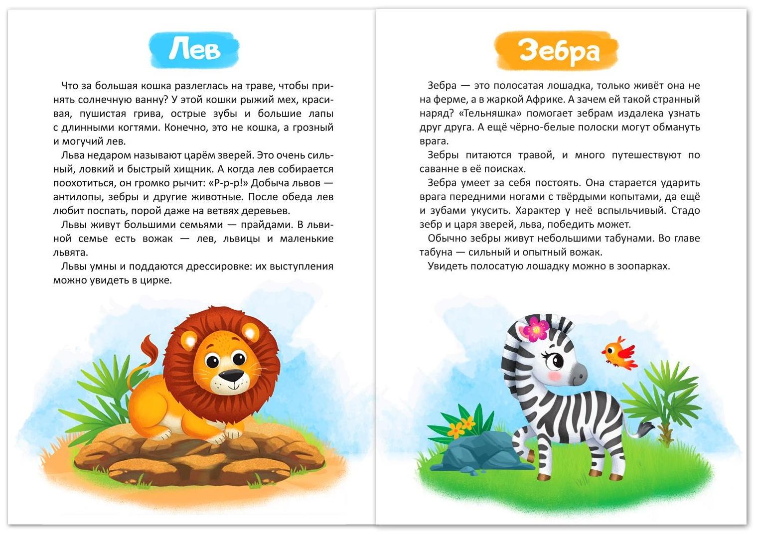 Набор книг обучающий про животных, 3 шт. по 12 стр.