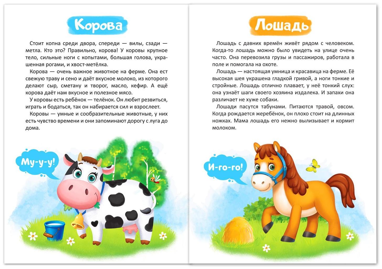 Набор книг обучающий про животных, 3 шт. по 12 стр.