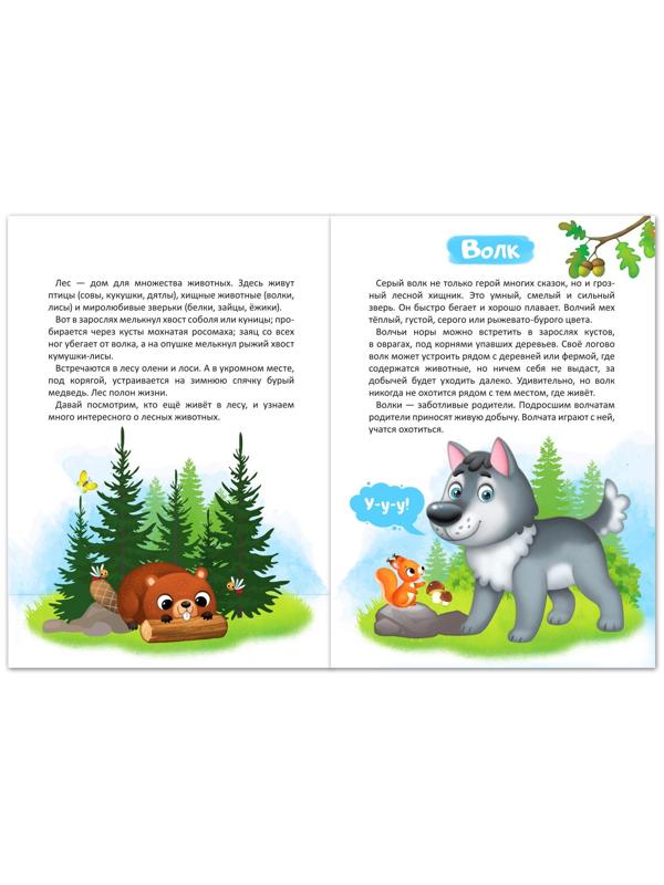 Набор книг обучающий про животных, 3 шт. по 12 стр.