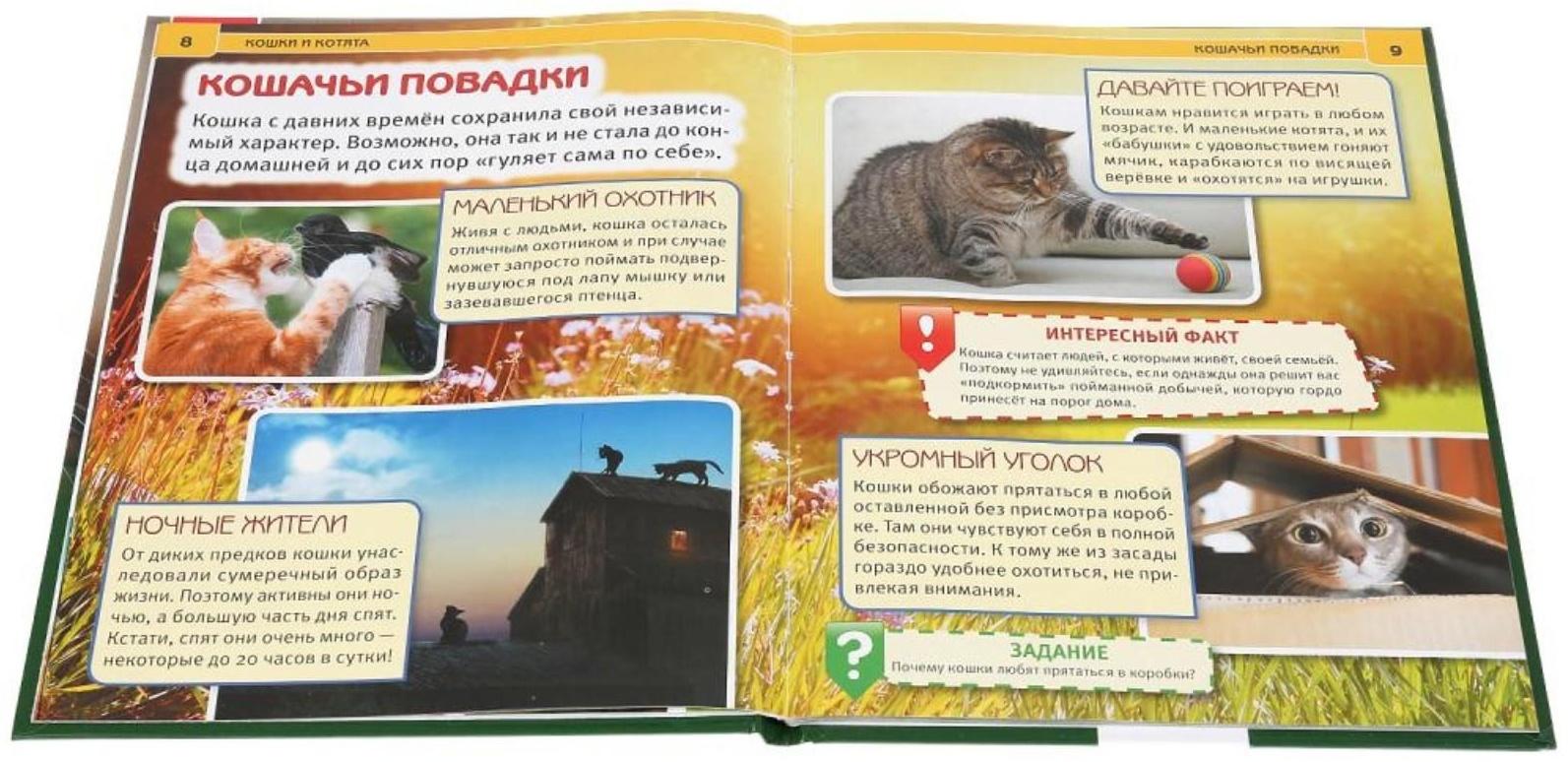 Энциклопедия А4 «Кошки и котята»