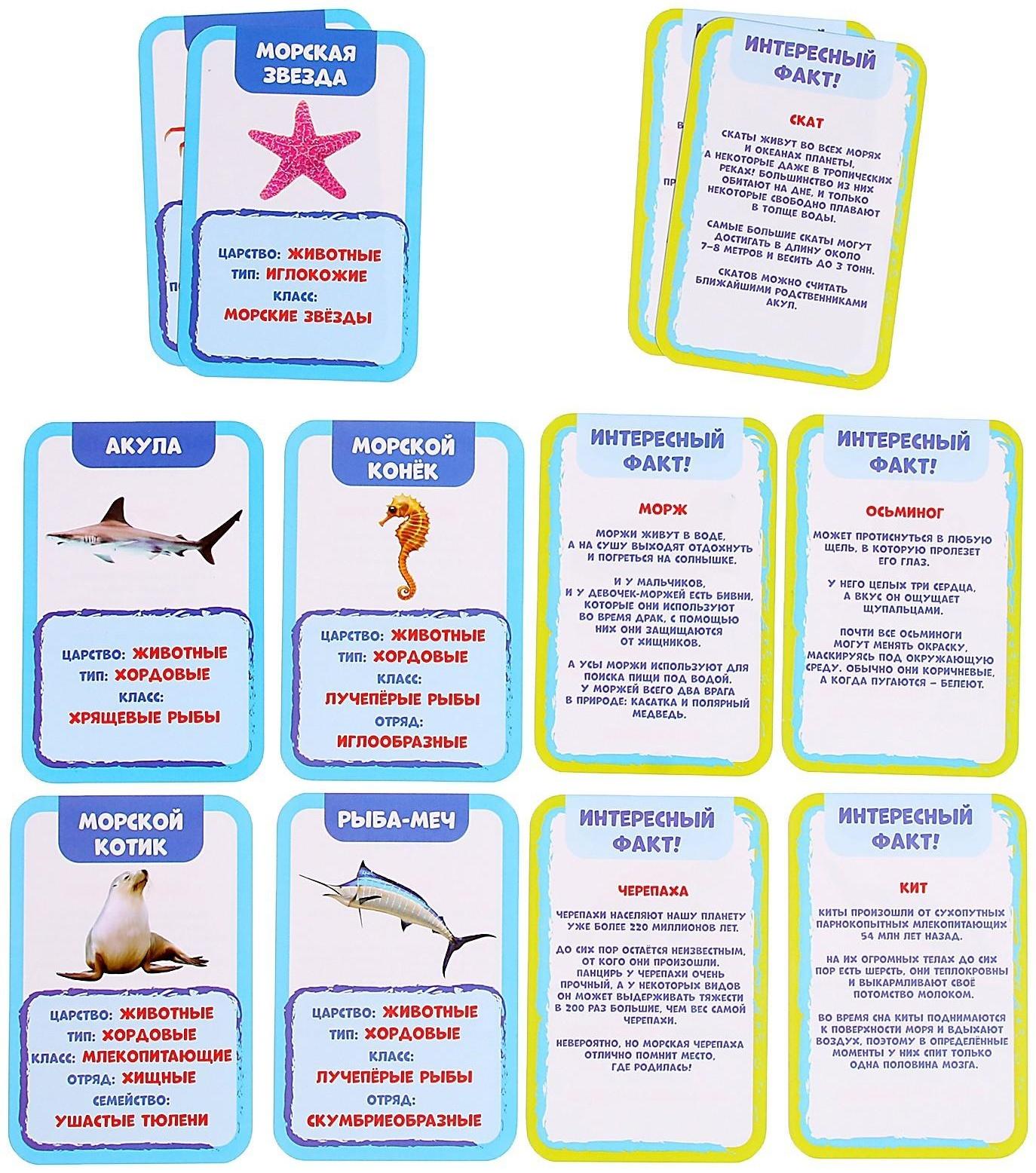 Развивающий набор «Подводный мир», бассейн, гидрогель, карточки