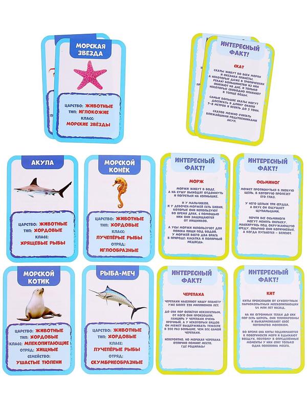 Развивающий набор «Подводный мир», бассейн, гидрогель, карточки