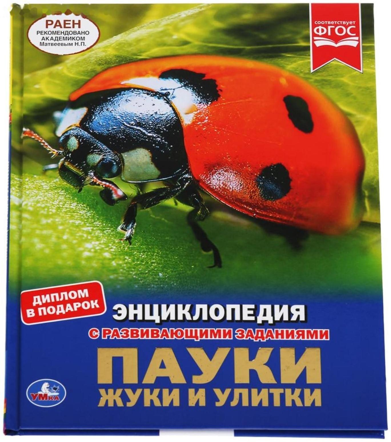 Энциклопедия А4 «Пауки, жуки, улитки»