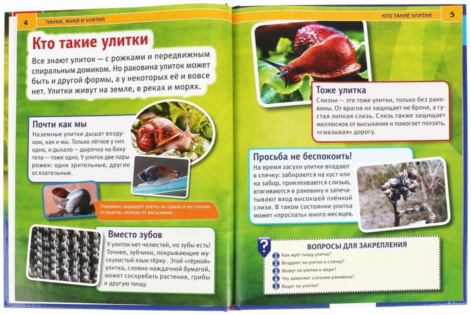 Энциклопедия А4 «Пауки, жуки, улитки»