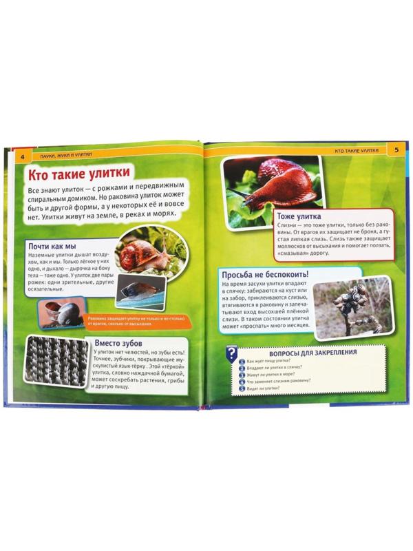 Энциклопедия А4 «Пауки, жуки, улитки»