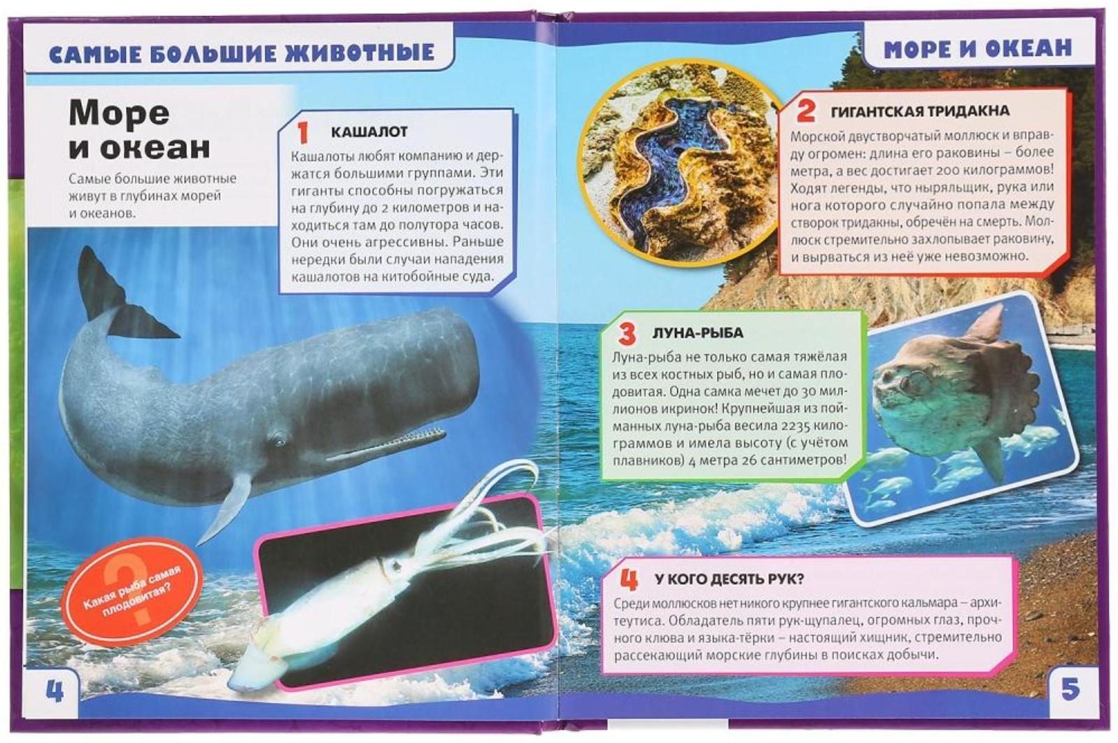 Энциклопедия с развивающими заданиями А5 «Самые большие животные. 100 фактов»