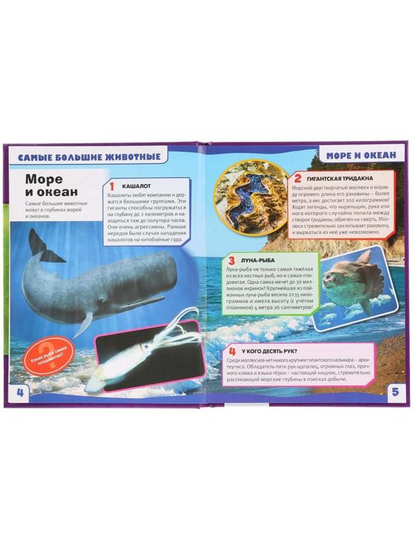 Энциклопедия с развивающими заданиями А5 «Самые большие животные. 100 фактов»
