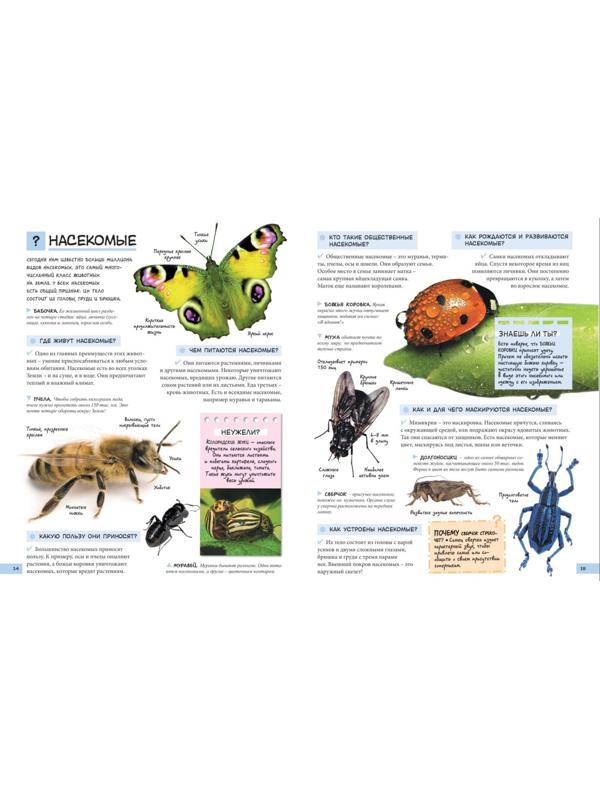 «Большой подарок школьнику»