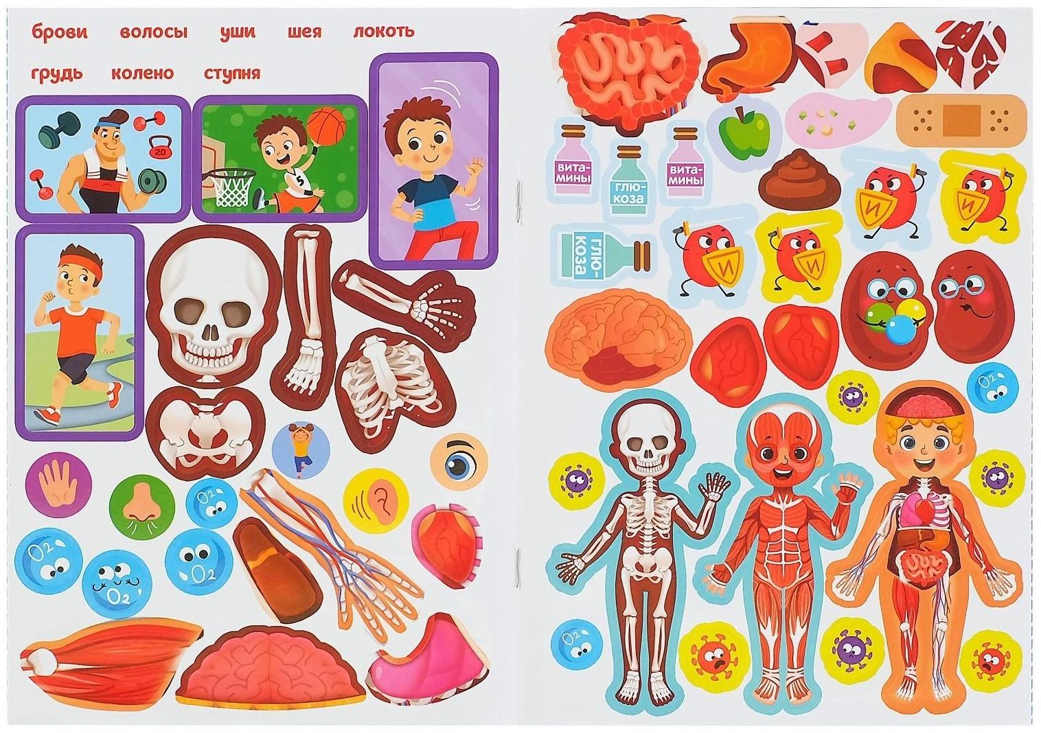 Наклейки «Как устроено моё тело», 16 стр.
