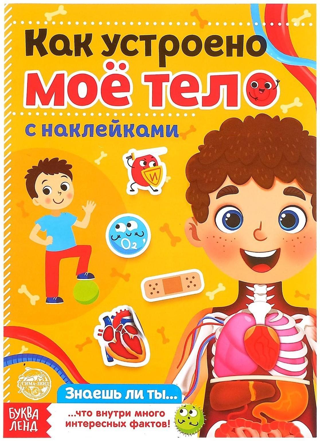 Наклейки «Как устроено моё тело», 16 стр.