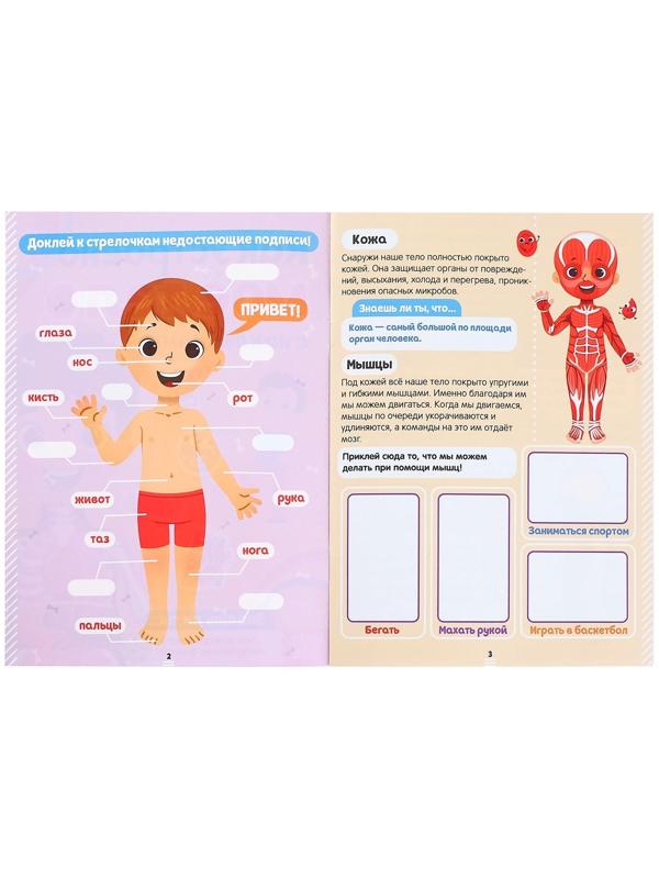 Наклейки «Как устроено моё тело», 16 стр.