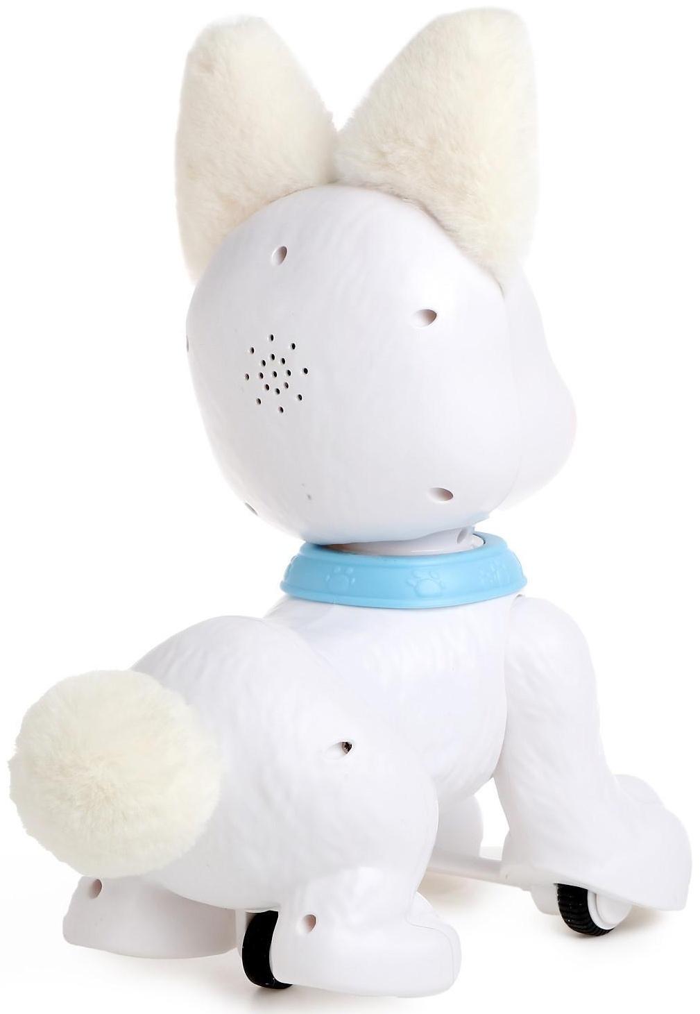 Робот-собака «Милый корги», радиоуправляемый, световые и звуковые эффекты, работает от аккумулятора, цвет белый