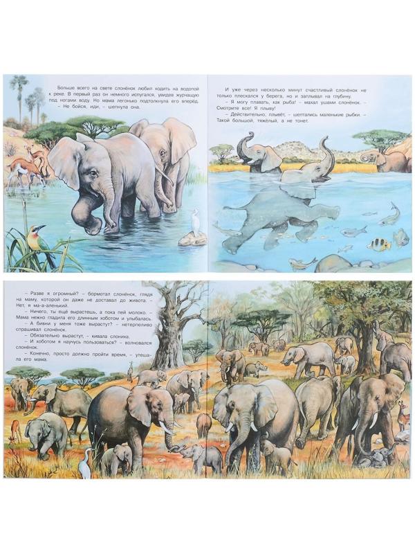 Познаём мир вокруг нас «Приключения слонёнка»