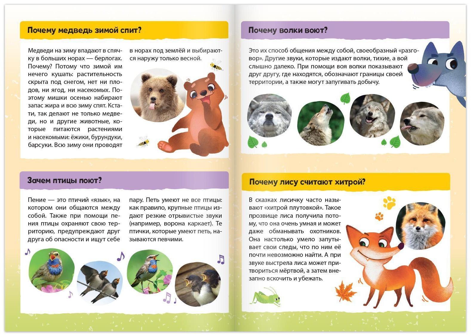 Книга обучающая «Почемучки: о зверюшках, пташках и букашках», 16 стр.